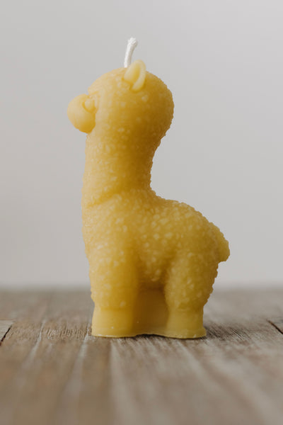 Hand-poured small alpaca beeswax candle — natural, eco-friendly, clean-burning candle made from rescued bees in St. Petersburg, FL.