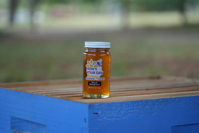 Black Mangrove Honey (Summer)