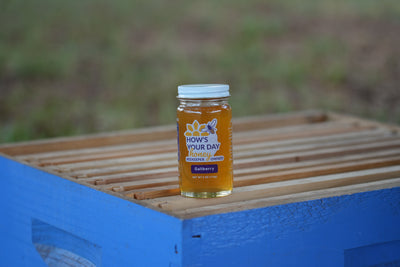Honey Jar 6oz (Case of 12)