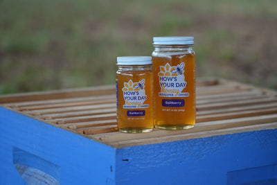 Gallberry Honey (Spring)