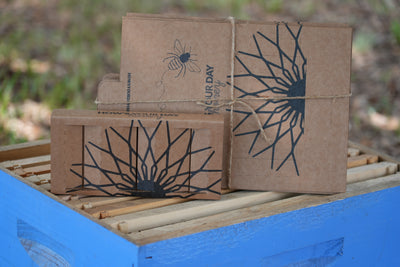 Custom Box Set Packaging (Bundle of 12)