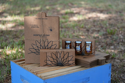 Custom Box Set Packaging (Bundle of 12)