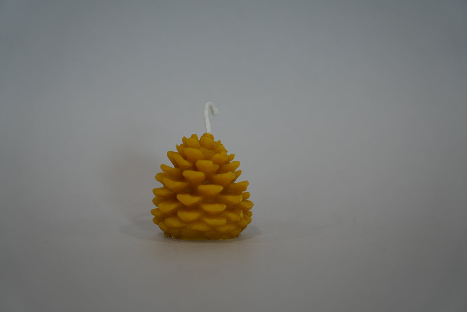 Pinecone Beeswax Candle