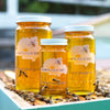 Raw local black mangrove honey from How's Your Day Honey in St. Petersburg FL, three jars 6oz, 12oz, 24oz. Photographed on a hive of honey bees.