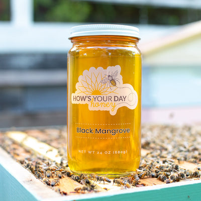 Raw local black mangrove honey from How's Your Day Honey in St. Petersburg FL, one 24oz jar. Photographed on a hive of honey bees.
