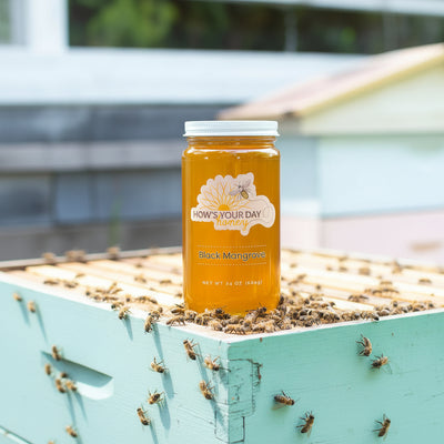 Raw local black mangrove honey from How's Your Day Honey in St. Petersburg FL, one 24oz jar. Photographed on a hive of honey bees.