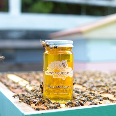 Raw local black mangrove honey from How's Your Day Honey in St. Petersburg FL, one 6oz jar. Photographed on a hive of honey bees.