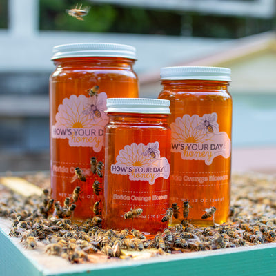 Raw local Florida orange blossom honey from How's Your Day Honey in St. Petersburg FL, three jars 6oz, 12oz, 24oz. Photographed on a hive of honey bees.