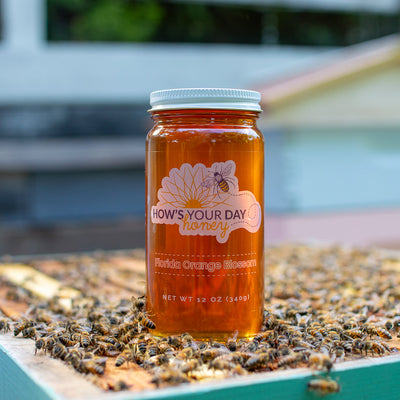 Raw local Florida orange blossom honey from How's Your Day Honey in St. Petersburg FL, one 12oz jar. Photographed on a hive of honey bees.