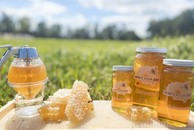Honeycomb Jar *Limited Edition (Black Mangrove)*