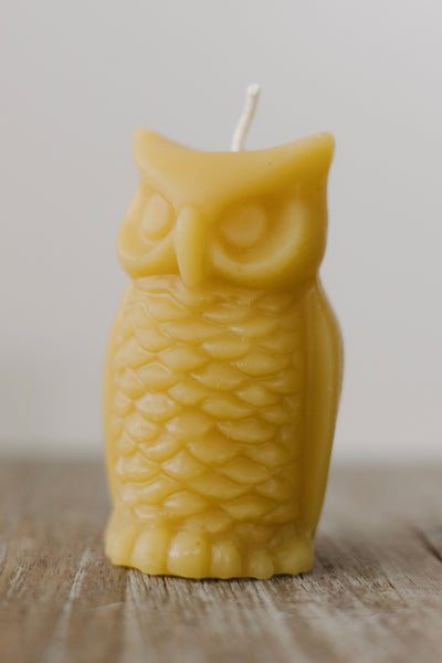 Hand-poured pure beeswax owl candle made in St. Petersburg, FL — eco-friendly, natural, chemical-free, sustainable candle from rescued bees.