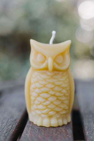 Hand-poured pure beeswax owl candle made in St. Petersburg, FL — eco-friendly, natural, chemical-free, sustainable candle from rescued bees.
