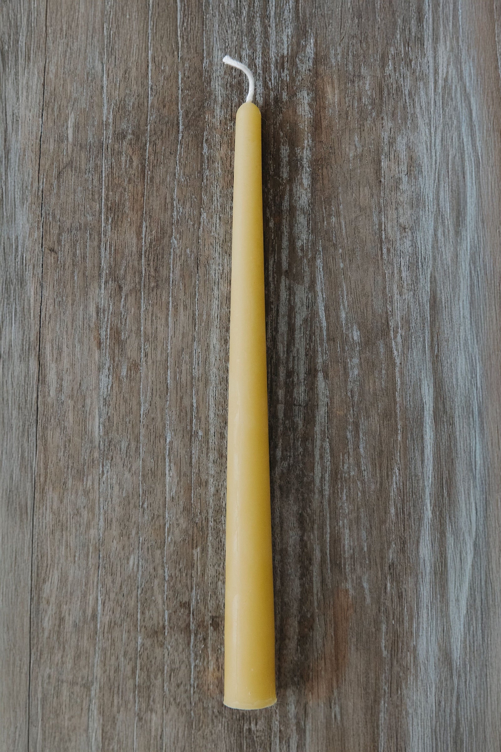 Handmade 10-inch pure beeswax taper candle from St. Petersburg, FL — natural, eco-friendly, clean-burning candle crafted from rescued bees.