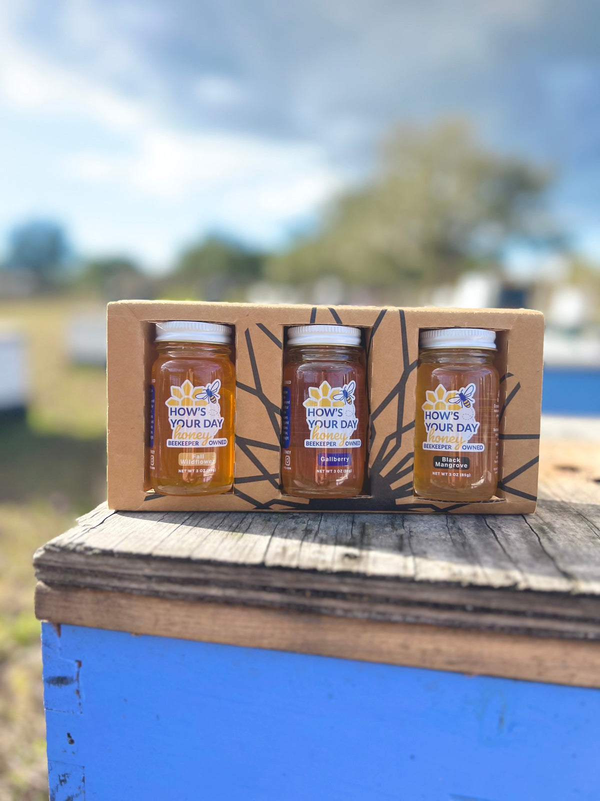 Gift Set Sampler