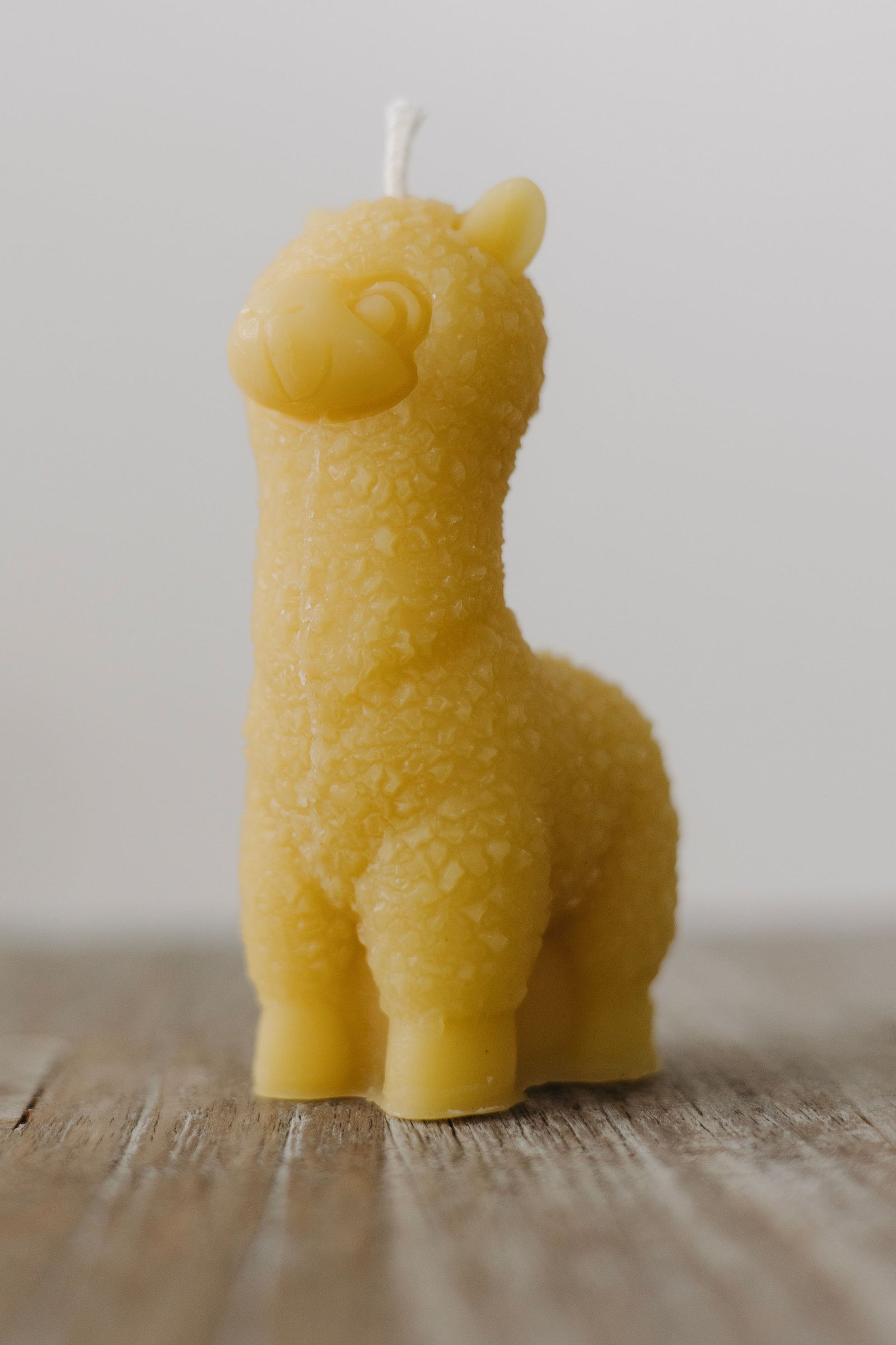 Hand-poured small alpaca beeswax candle — natural, eco-friendly, clean-burning candle made from rescued bees in St. Petersburg, FL.