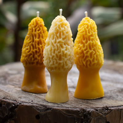 Pure beeswax candle three candles morel mushroom How's Your Day Honey