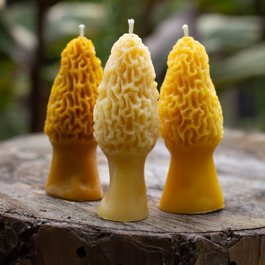 How to Make Beeswax Candles with Raw Beeswax · Chatfield Court