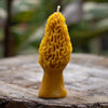 Pure beeswax candle morel mushroom How's Your Day Honey