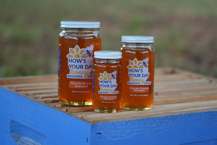 Orange Blossom Honey (Spring)