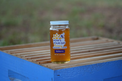 Honey Jar 12oz (Case of 12)