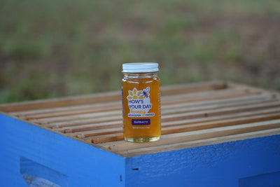 Gallberry Honey (Spring)