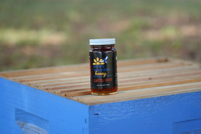 Honey Jar 6oz (Case of 12)