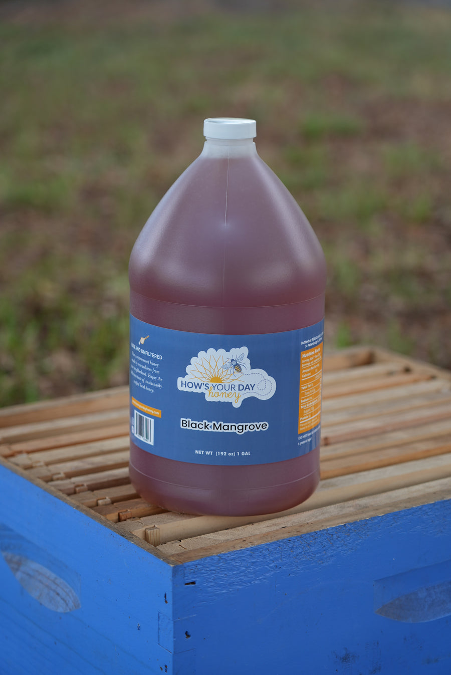 1 Gallon of Honey