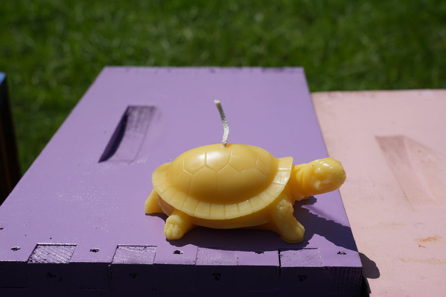 Turtle Beeswax Candle