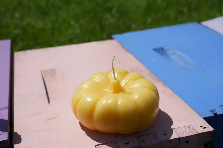 Pumpkin Beeswax Candle
