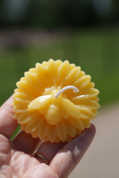 Flower & Bee Beeswax Candle