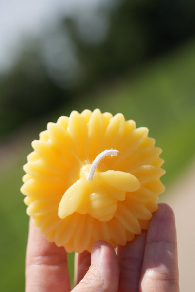 Flower & Bee Beeswax Candle