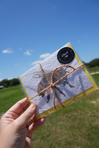 4-PACK Custom Plantable Honeybee Greeting Card (Blank Inside)