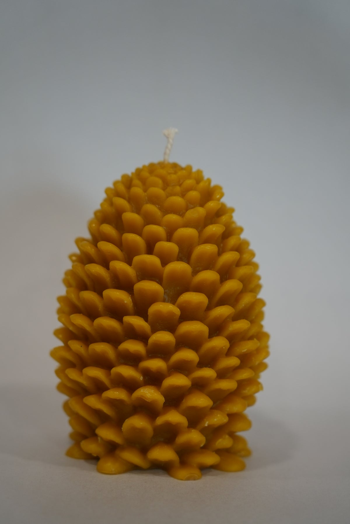 Pinecone Beeswax Candle