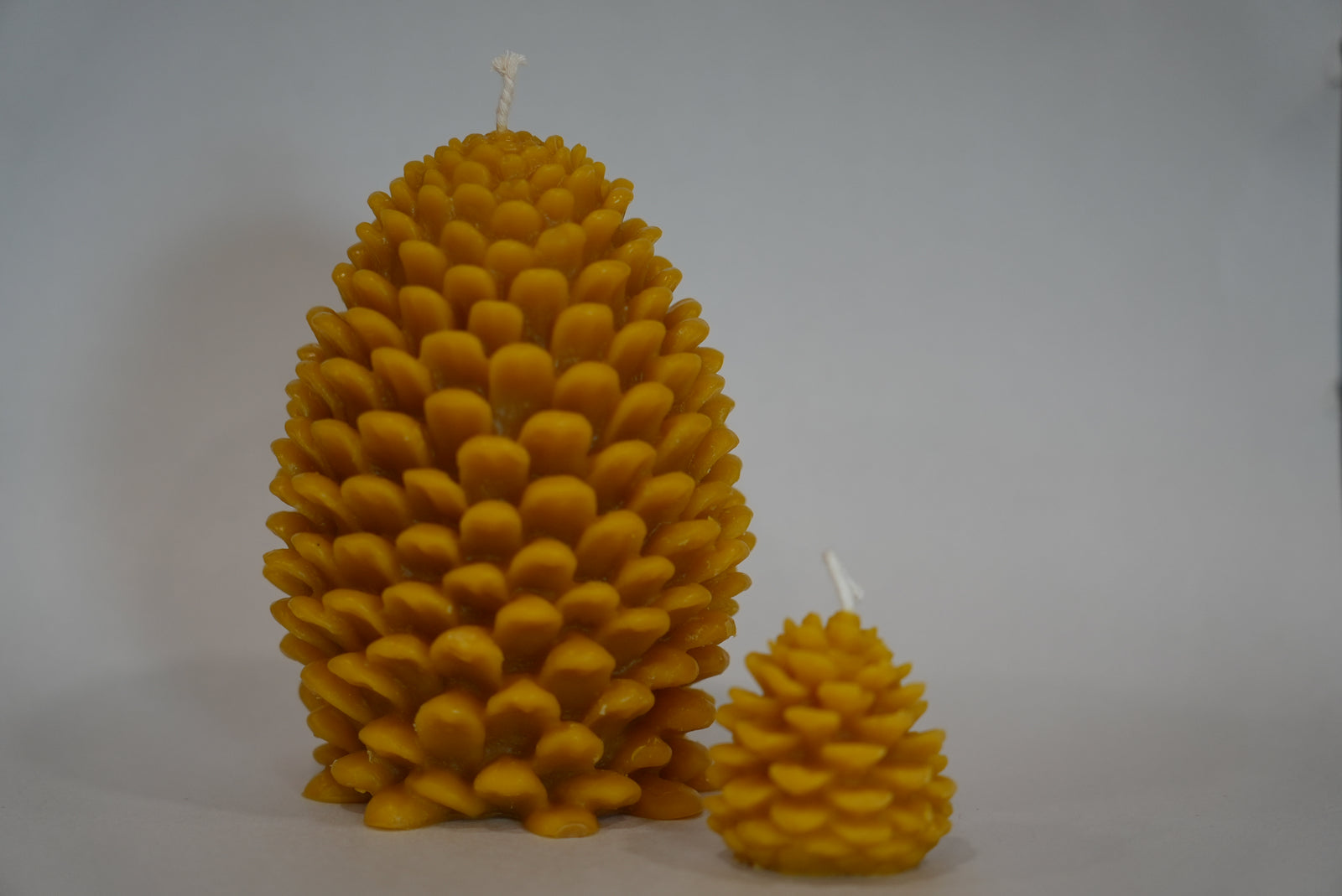 Pinecone Beeswax Candle