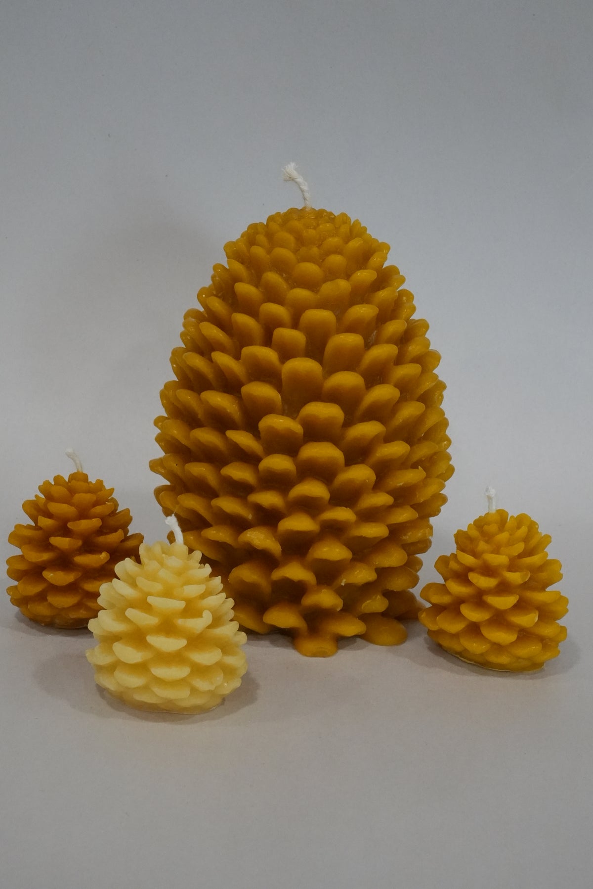 Pinecone Beeswax Candle