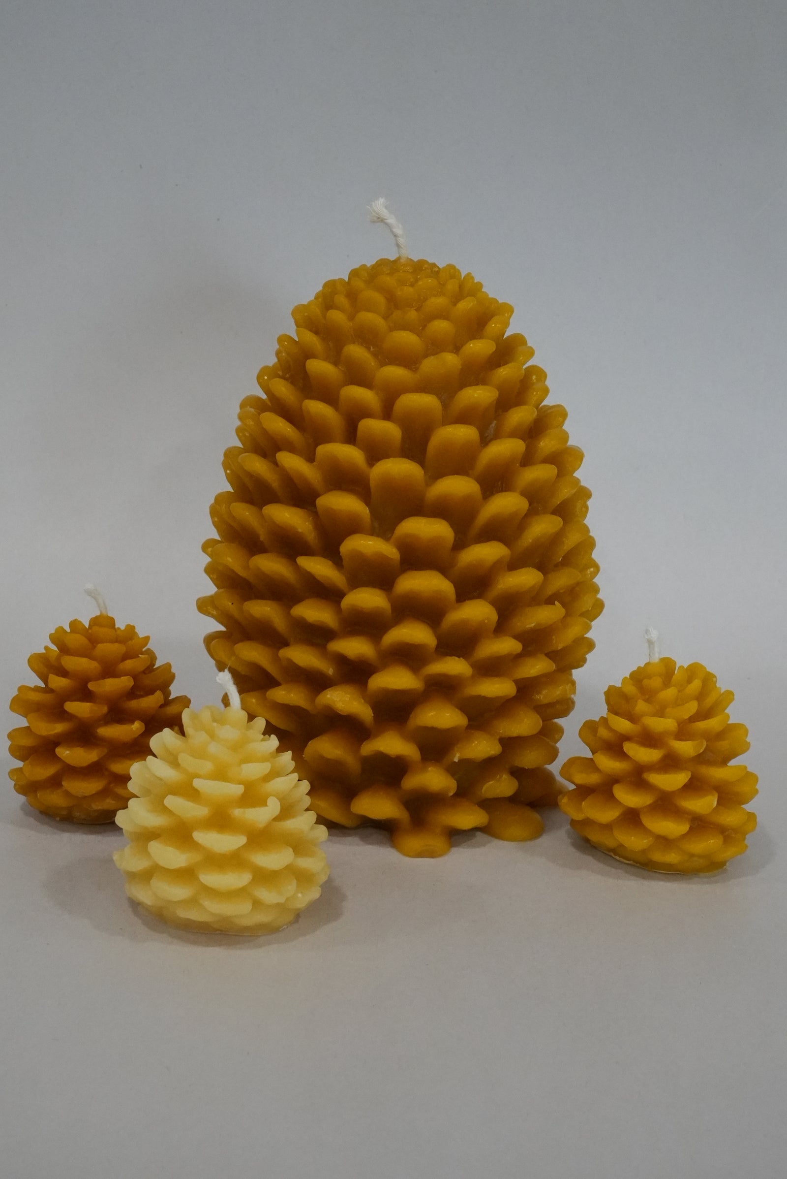 Pinecone Beeswax Candle