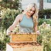 Elisha Bixler beekeeper in St. Petersburg FL bee removal, honey production, bee presentations