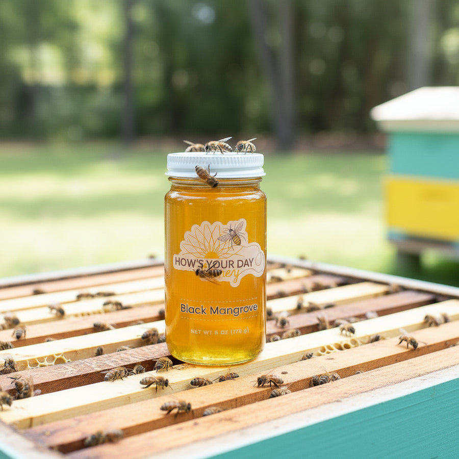 Raw local black mangrove honey from How's Your Day Honey in St. Petersburg FL, one 6oz jar. Photographed on a hive of honey bees.