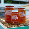 Raw local fall wildflower honey from How's Your Day Honey in St. Petersburg FL, three jars 6oz, 12oz, 24oz. Photographed on a hive of honey bees.