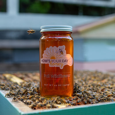 Raw local fall wildflower honey from How's Your Day Honey in St. Petersburg FL, one 12oz jar. Photographed on a hive of honey bees.