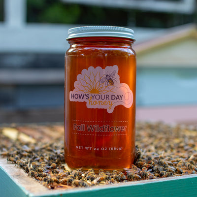 Raw local fall wildflower honey from How's Your Day Honey in St. Petersburg FL, one 24oz jar. Photographed on a hive of honey bees.