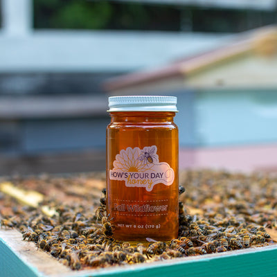 Raw local fall wildflower honey from How's Your Day Honey in St. Petersburg FL, one 6oz jar. Photographed on a hive of honey bees.