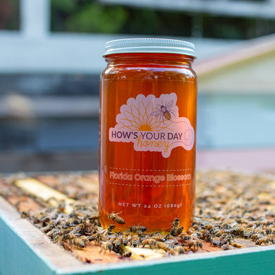 Raw local Florida orange blossom honey from How's Your Day Honey in St. Petersburg FL, one 24oz jar. Photographed on a hive of honey bees.