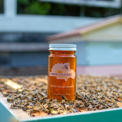 Raw local Florida orange blossom honey from How's Your Day Honey in St. Petersburg FL, one 6oz jar. Photographed on a hive of honey bees.
