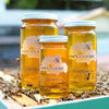 Raw local gallberry honey from How's Your Day Honey in St. Petersburg FL, three jars 6oz, 12oz, 24oz. Photographed on a hive of honey bees.