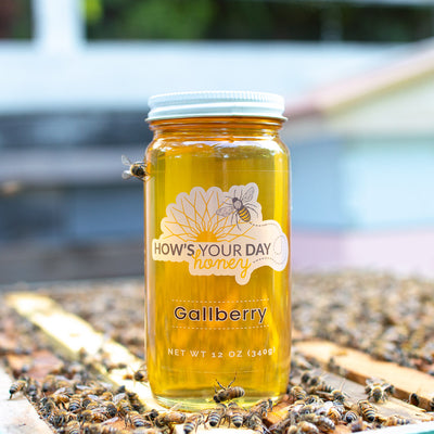 Raw local gallberry honey from How's Your Day Honey in St. Petersburg FL, one 12oz jar. Photographed on a hive of honey bees.