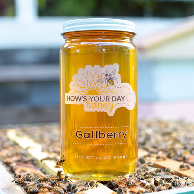 Raw local gallberry honey from How's Your Day Honey in St. Petersburg FL, one 24oz jar. Photographed on a hive of honey bees.