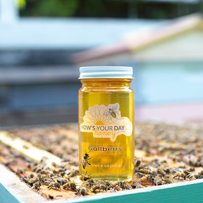 Raw local gallberry honey from How's Your Day Honey in St. Petersburg FL, one 6oz jar. Photographed on a hive of honey bees.