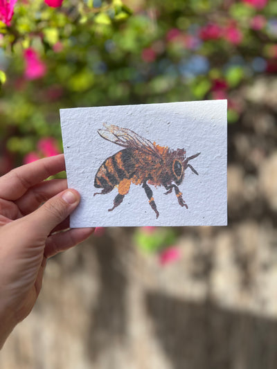 Custom Plantable Honeybee Greeting Card (Blank Inside)