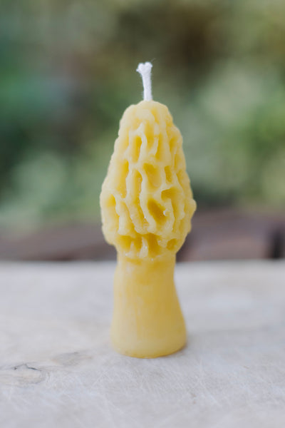 Hand-poured mini morel mushroom beeswax candle — natural, eco-friendly, clean-burning candle made from rescued bees in St. Petersburg, FL.